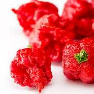 ブートジョロキアの3倍の辛さを誇る、キャロライナリーパーが入った死神カレー!!

10辛～50辛までご指定可能ですが、50辛以上の指定は50辛を完食した方のみ利用OK!!
※時間制限無し!!
※+1辛につき+20円!!