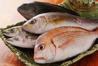 高知産の物を使用しています