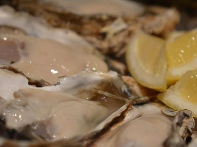 日本全国の生牡蠣食べ比べ