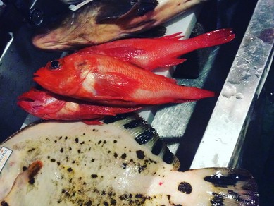日本全国の生牡蠣食べ比べ