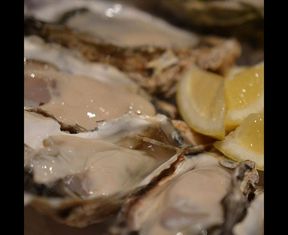 牡蛎和日本料理的Ikkoku