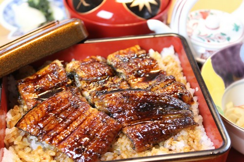 湯布院産の鰻。しっかりとした旨みとふかふかの弾力