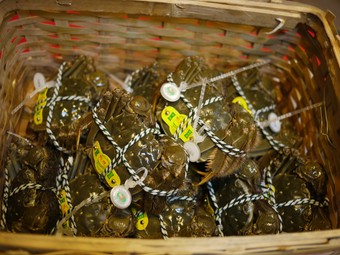 丸ごと１匹食べごたえあり