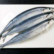 使用する北海道根室産「サンマ」は、180～200ｇという最大サイズのものだけ。魚体が大きい分しっかりと脂が乗っているので、シンプルな調理で旨みがいっそう引き立ちます。