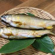 旬の魚介は、20年来の付き合いがある魚屋から直送。また、兵庫県宍粟市の実家から、「子持ち鮎」をはじめとした釣りたての魚や手づくり野菜、ジビエなども送られてきます。