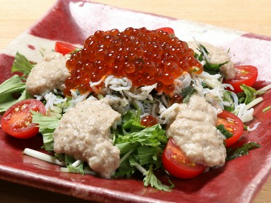 全国各地から季節の旬の素材を厳選しています