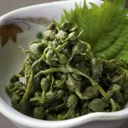 みずという山菜のこぶ部分を調理。ねばりがあり、だし醤油でさっぱりといただきます。