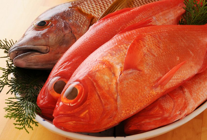 土佐赤牛炙りタタキや室戸産金目鯛しゃぶしゃぶを味わえる!!