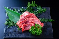 程よく脂肪がのった肉の美しさを堪能できる赤身肉。焼肉には最適の部位です。