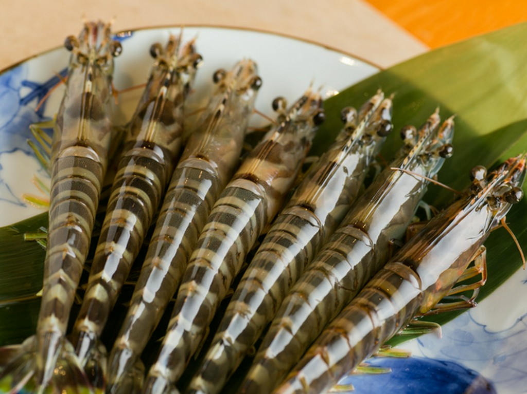 美味い魚を絶品の天ぷらで。素材は常に旬の物