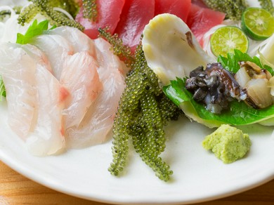 獲れたての味わいを堪能！　『お刺身　本日のおすすめ』