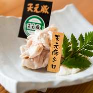《人気》天元豚のシロ［タレ・塩］