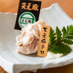 《人気》天元豚のシロ［タレ・塩］