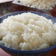 お米は、豊かな自然の中でおいしいお水で育った、能登の珠洲市のコシヒカリを使用しています。「はさ干し」したお米です。ふっくらもちもち、そしてみずみずしい食感が特徴。炊き上がりの香りも絶品です。
