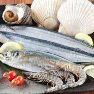 刺身や焼きで楽しめる魚介類は、瀬戸内海産を中心とした旬のものばかり。その日の朝港に上がったものを新鮮なまま仕入れています。単品の注文もできますが、いろいろな種類を味わいたい方にはコース料理がおすすめ。