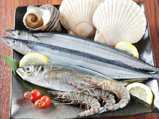 近海から遠海のものまで旬の魚介を全国から直送