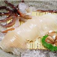 鮮度が命！コリコリの触感がたまらない『活いか刺身』※要予約