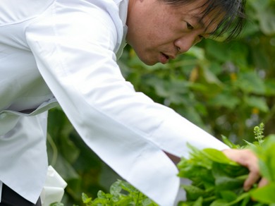 地産地消イタリアンの名店【アル・ケッチァーノ】の味を銀座で