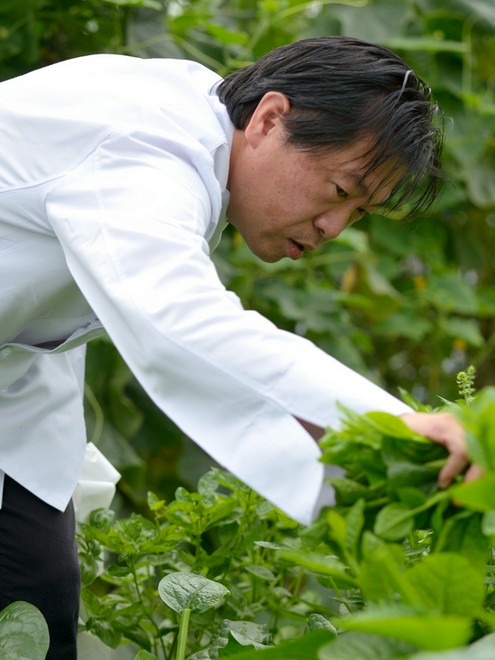 イチオシ･話題のメニュー