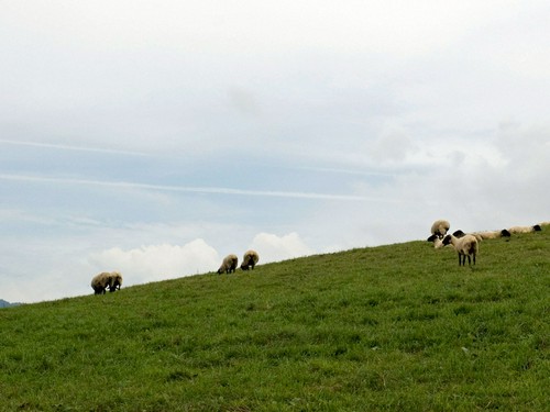 山形の魅力を、そのまま東京で伝えます