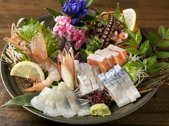 鮮度抜群！　獲れたての旬魚を堪能できる『造り盛り合わせ』