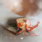 活け伊勢海老と近江牛コース