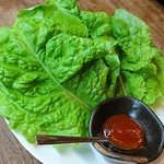 レタスの仲間でサラダ菜のような柔らかさが特徴。
栄養価が非常に高く、ビタミンＣ･Ｅ、ミネラルも多く含まれている。
自家製サンチュ味噌(サムジャン)をつけて、ご飯やキムチと一緒にお肉を巻いてみて下さい。