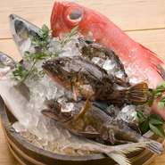 九州の各漁港にお願いして、獲れたての魚介類を直送しています。市場直送は、やはり鮮度が違います。はじけるような身を味わえる刺身、炭火焼で仕上げる焼き魚・炙りなど、さまざまなメニューでどうぞ。