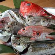 地のものを中心に、新鮮さを一番に仕入れた魚には自信があります。天然の鯛を使用した『名物　鯛めし』や、日替わりで活け〆のイシガレイが楽しめる刺身など、魚の旨みを存分に活かした絶品料理が味わえるお店です。