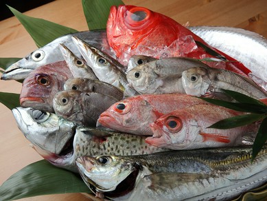 鮮魚には自信あり。美味しい魚が食べたくなったら【善みつ】へ