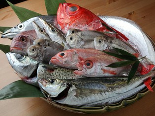 地のものを中心に、新鮮さを見極めて仕入れる「鮮魚」
