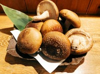 焼くだけで美味しい！！感動モノの椎茸です！