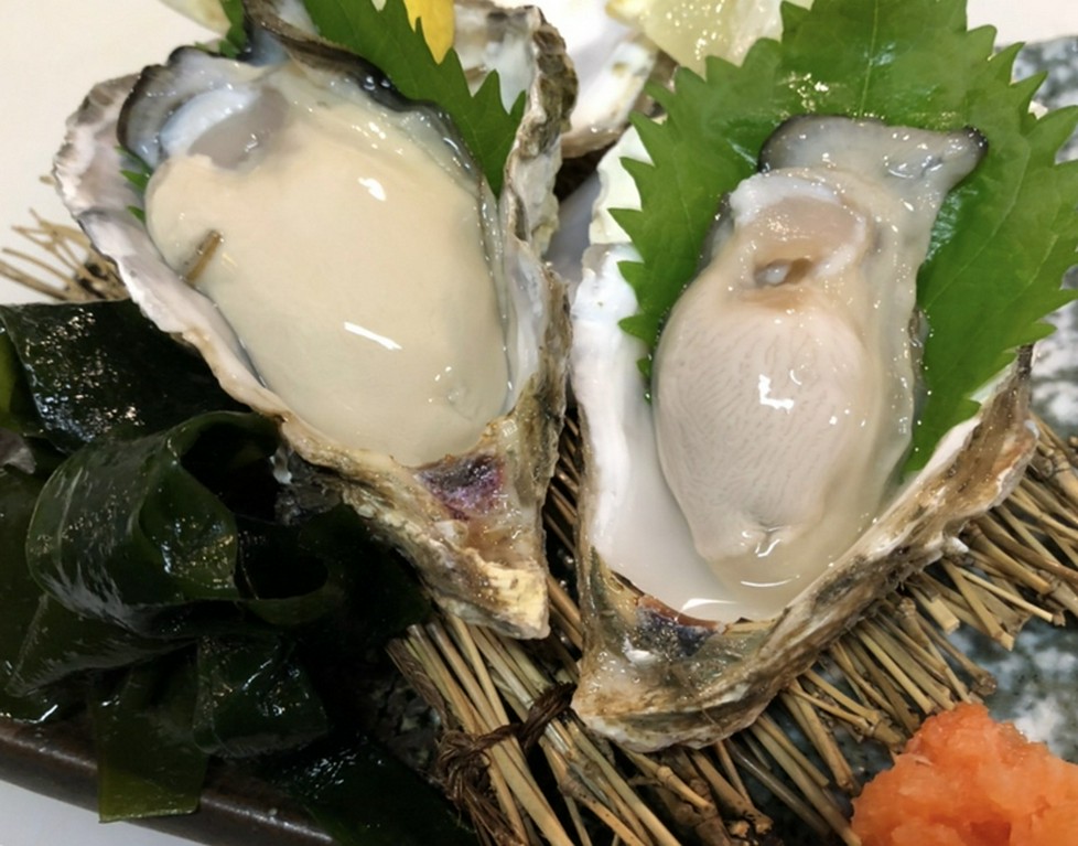 釧路【仙鳳趾（せんぽうし）生牡蠣】2ケ　「焼ガキもどうぞ！」