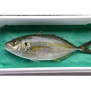 売り切れゴメンです！
ご飯、手作り豆腐、お味噌汁はおかわりどうぞ！
※米価格高騰の為、ご飯のお代わり2回目からは+100円頂きます。