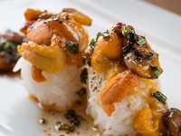 本日のウニ料理