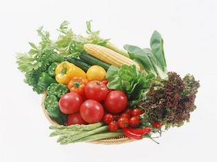 日本の四季をそのまま映す、バラエティー豊富な野菜とハーブ