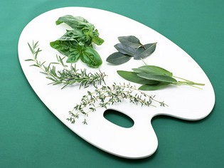 季節を映すため自然がつくった極上のスパイスを料理に組み入れる