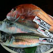 「関もの」は急流渦巻く「速吸（はやすい）の瀬戸」育ちの魚介類。朝〆の新鮮さは折り紙付きで、身の締り具合や脂の乗りの良さは抜群です。サシの美しい「おおいた和牛」など大分県産食材が取り揃えられています。