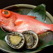 その日に地元の港で水揚げされた新鮮な魚介をはじめ、四季折々の旬の食材を厳選して料理に使用。コース料理だけでなく、一品料理としてもご提供しています。