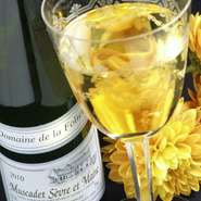 白　ハーフボトル