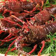 旬の魚介類、京野菜などを使用した期間限定の懐石料理がお値打ち価格にて、毎月開催！