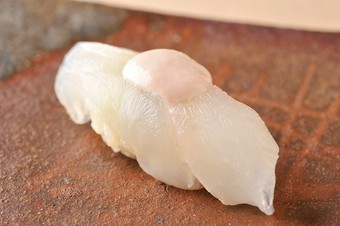 肝と一緒に味わうと旨さ倍増の『ウマヅラハギ』