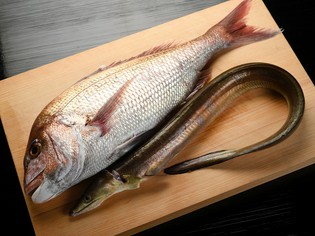 店を代表する食材の「鯛」は、産地からサイズまで決めています