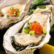 新潟産地直送食材！鮮魚や入手困難な地酒を是非御賞味下さい。当店の牡蠣は産直でとにかく新鮮さがウリです。岩ガキや真牡蠣をお好みの調理法でお召し上がりください！！ 