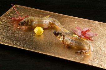 四季を感じさせられる食材・舌鼓。
  