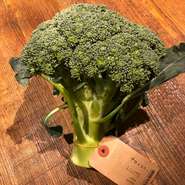 東京野菜とは古来から伝わる在来品種のこと。江戸時代、おそらくもっと昔からの品種を守り、新しい野菜にもフォーカスし、近距離でしか得られない鮮度をお届けしています。