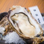 甘味強めでクリーミー。
水温が低く通年温度変化が少ない地域。水温が低いと牡蠣の成長が遅くなるので、その分ゆっくりと、じっくりと長い時間をかけて栄養分を蓄えて育てられています。