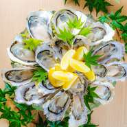 盛り合わせの食べ比べは4個盛～12個盛りでご用意してます。ソルティーなものからクリーミーなものまで、この時季限定の味わいをお楽しみ下さい。