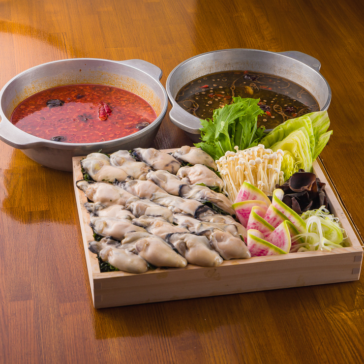 [All-you-can-drink] Light course with oyster shabu-shabu, 5 dishes in total, starts May 11th!