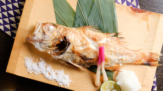 [Tiram + 1 Ikan Kakap Hitam per orang! Paket mewah dengan minuman sepuasnya] Nikmati 8 hidangan termasuk tiram mentah segar, tiram goreng, dan ikan kakap hitam panggang!